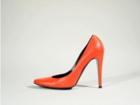 shoe